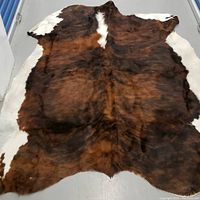 Full view of irregularly shaped cowhide rug laid flat on floor