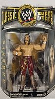 Front view of Jake 'The Snake' Roberts WWE Classic Superstars action figure in original sealed packaging.