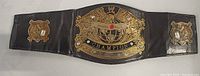 Full view of black leather mini championship belt showing central and side plates