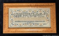 Full view of the framed cross-stitch sampler showcasing its design and frame.