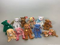 Full group photo of 11 assorted TY Beanie Babies plush toys arranged in two rows, showing different animals in various colors.
