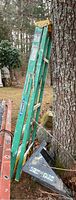 Green Warner fiberglass ladder leaning against a tree outdoors, showing paint marks and scratches.
