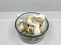 Top view of mixed white seashells inside a thick clear glass bowl showing different shell shapes and natural markings