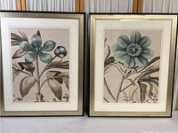 Two framed botanical prints of light blue flowers with brown leaves, side by side showing overall front view and condition.