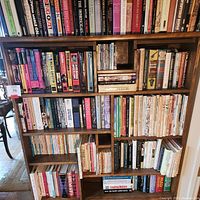Full bookshelf view showing well organized books with varied topics including LGBTQ history, cinema, and cartoons