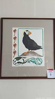 Framed artwork featuring the tufted puffin, shells, and fish illustrations.