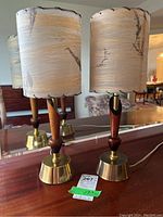 Pair of Mid-Century Modern table lamps displayed on wooden surface, showing wood and brass-toned metal bases with beige plastic shades containing embedded plant material.
