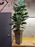 Full view of the 50-inch tall imitation rubber tree plant with multiple layers of large green leaves and the patterned square pot.