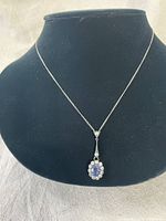 Full view of the necklace on a black stand showing chain and pendant design