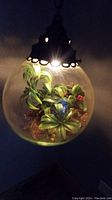Illuminated vintage hanging terrarium with faux plants and pine cones inside a clear glass globe, black metal top and chain.