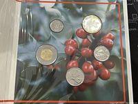 Canadian coins on a holiday-themed background with holly berries, showing the arrangement of coins in the set.