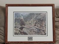 Framed print showing a bald eagle in the forest, overall view