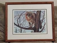 Framed signed and numbered print showing a red fox standing on a tree branch with leafless branches behind, matted and under glass.