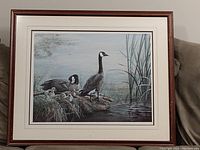 Full view of framed print featuring geese and goslings near pond