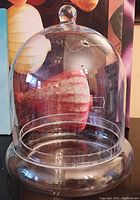 Large clear glass dome displayed on wooden strings background.