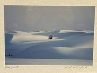Framed photograph showing desert sand dunes with a small plant; the picture is matte finished in a black metal frame.