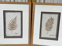 Two matching wooden floating mat frames containing pressed ferns on handmade paper, side-by-side.