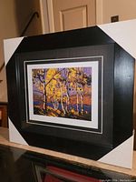 Framed artwork showing colorful birch trees and lake in a black frame with white corner protectors.