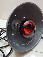 Heat lamp showing red heat bulb inside gray metal reflector with holes and black power cord with plug.