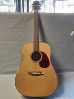 Front full view of guitar standing upright showing body shape and finish