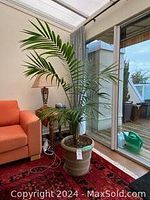 Majesty palm in beige ceramic planter placed next to orange couch and lamp in living room under natural light.