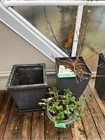 Photo showing three patio pots arranged outdoors on wooden decking under a stairway. One pot is empty, one contains a Viburnum plant with dry branches, and the third has a strawberry plant with green leaves.