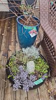 Assorted herbal plants with different foliage types planted together in a round dark planter with a small rock decoration, placed on wooden deck.