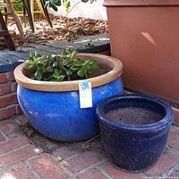 Two ceramic planters side by side on brick ground; one large blue with live jade plant, one smaller dark blue empty