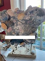 Front view of sculpture showing irregular shape and shell accents on plaster form