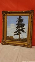 Front view of framed oil painting showing full spruce tree and background sky with detailed grass and shrubbery at base, in ornate gold-tone frame.