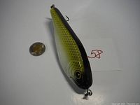 Top and side view of large green and black fish scale patterned lure next to a coin for size comparison