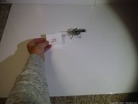 Overall view of the beetle sculpture next to a label showing item number 25 for scale and identification.