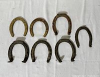 All seven antique horse shoes laid out on white fabric showing size and style variations