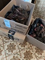 Three cardboard boxes filled with over 30 Calla Lily bulbs showing roots, dried leaves, and soil.