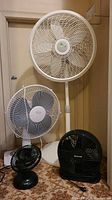 Four fans arranged on table and floor, showing their size comparison and physical condition.