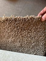 Close-up of beige medium pile carpet showing texture and pile density.