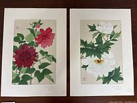 Two Japanese wood block prints with flowers, one featuring red dahlias and the other white peonies, side by side on a wooden surface.
