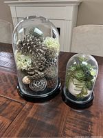 Two decorative glass domes on a wooden table, each containing natural accent decorations, shown from the front