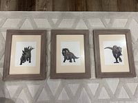 Three wooden frames with dinosaur prints arranged side by side on a geometric patterned textured rug.
