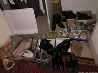 Overview of footwear including boots, sandals, and pumps in various sizes and styles plus handbags and purses.