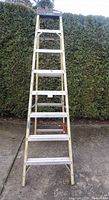 Front view of 8 ft fiberglass Featherlite ladder standing upright on pavement with a green hedge background.