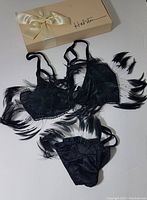 Two piece vintage lingerie set displayed with original Halston box, showing bra and panties with black ostrich feather embellishments.