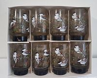 Top down view of all 8 glasses neatly arranged in original box with six separate compartments.