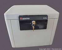 Front view of the Sentry 1170 fire safe showing textured grey outer shell and black key lock panel with key inserted.