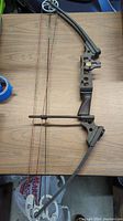 Full side view of the black Cobra compound bow showing the riser, limbs, strings, and cams.
