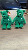 Two green Erin Beanie Baby bears seated on a wooden surface, showing front view with shamrock emblems on their chests and Ty tags attached to their ears.