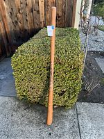 Full length image of the 54 inch wooden didgeridoo standing vertically against a bush and fence, showing natural wood and painted middle section.