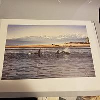Full view of the colorful lithographic print showing orcas swimming near the shore with snowy mountain scenery and a clear sky.