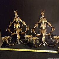 Pair of vintage Italian gilt Florentia style wall sconces placed side by side with measuring tape showing size.