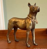 Front left angle view showing dog's musculature, facial detail, and rope collar.